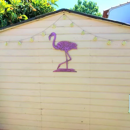 Maison T2 Proche Jardin Jacuzzi Et Parking 公寓 锡富尔勒普拉日