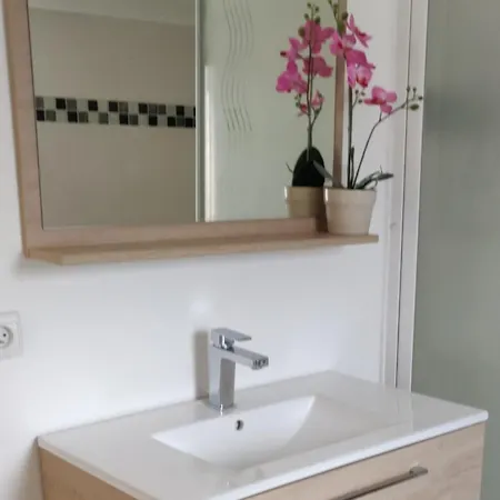 公寓 Maison T2 Proche Jardin Jacuzzi Et Parking 锡富尔勒普拉日